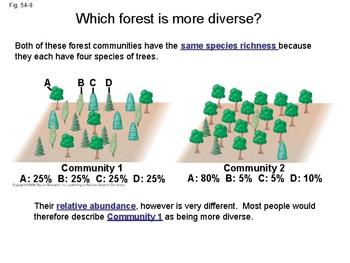 Fig. 54 -9 Which forest is more diverse? Both of these forest communities have