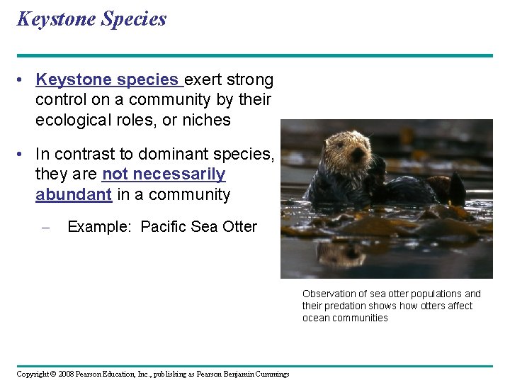 Keystone Species • Keystone species exert strong control on a community by their ecological