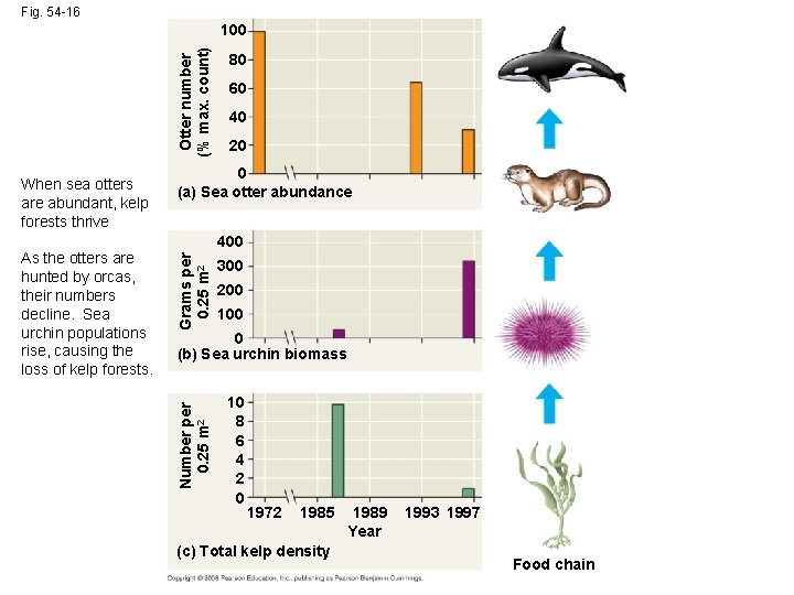 Fig. 54 -16 Otter number (% max. count) 100 40 20 400 Grams per