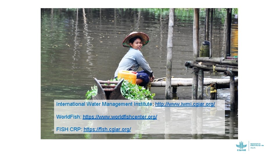 International Water Management Institute: http: //www. iwmi. cgiar. org/ World. Fish: https: //www. worldfishcenter.