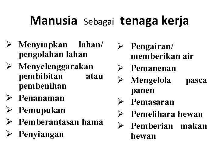 Manusia Sebagai tenaga kerja Ø Menyiapkan lahan/ pengolahan Ø Menyelenggarakan pembibitan atau pembenihan Ø