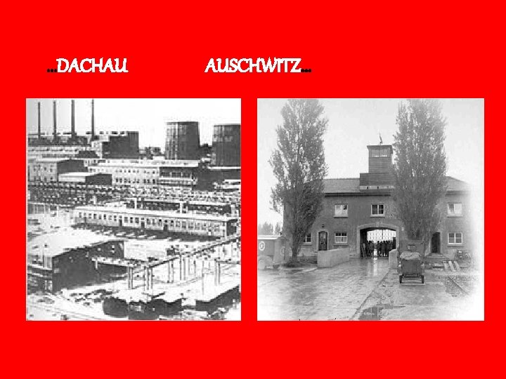 …DACHAU AUSCHWITZ… 