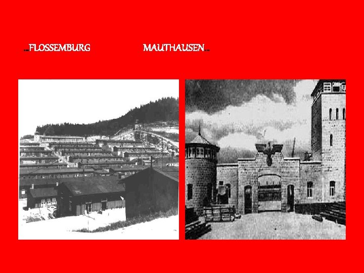 …FLOSSEMBURG MAUTHAUSEN… 