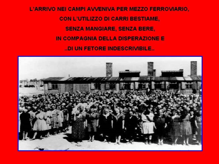 L’ARRIVO NEI CAMPI AVVENIVA PER MEZZO FERROVIARIO, CON L’UTILIZZO DI CARRI BESTIAME, SENZA MANGIARE,