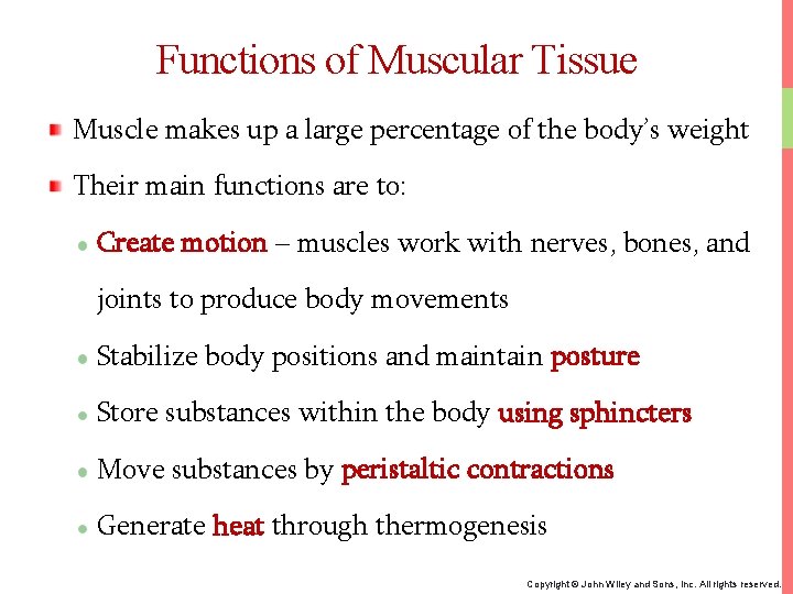 Functions of Muscular Tissue Muscle makes up a large percentage of the body’s weight