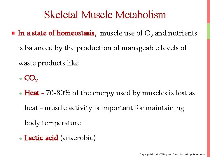 Skeletal Muscle Metabolism In a state of homeostasis, muscle use of O 2 and