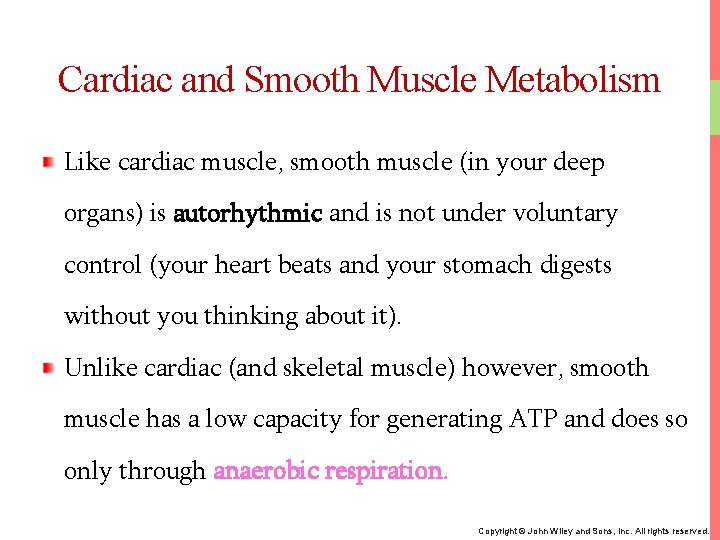 Cardiac and Smooth Muscle Metabolism Like cardiac muscle, smooth muscle (in your deep organs)