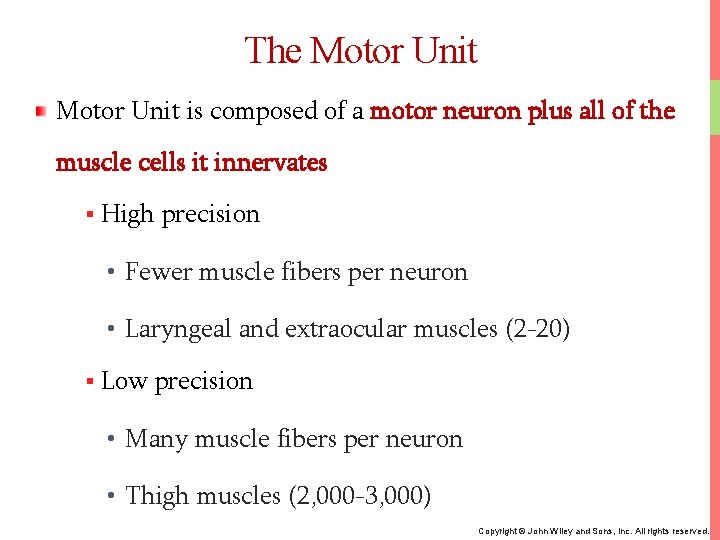 The Motor Unit is composed of a motor neuron plus all of the muscle