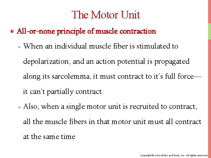 The Motor Unit All-or-none principle of muscle contraction When an individual muscle fiber is