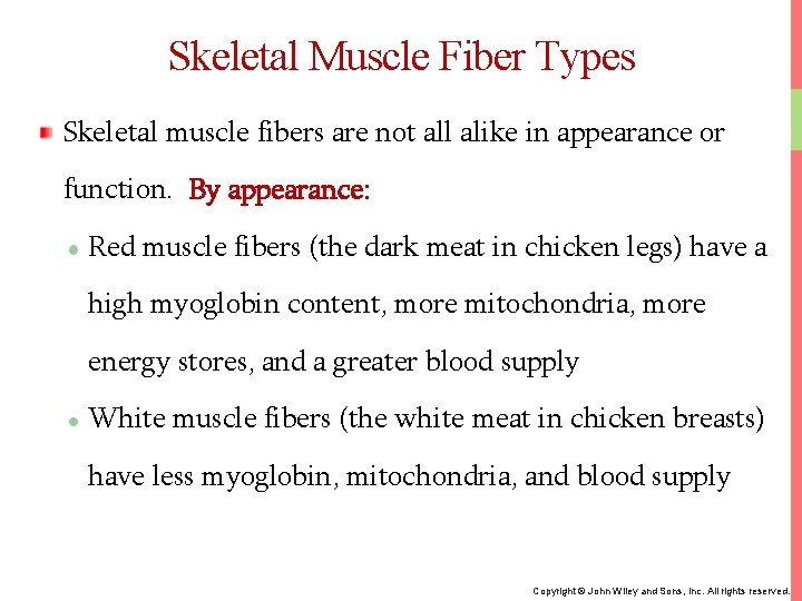 Skeletal Muscle Fiber Types Skeletal muscle fibers are not all alike in appearance or