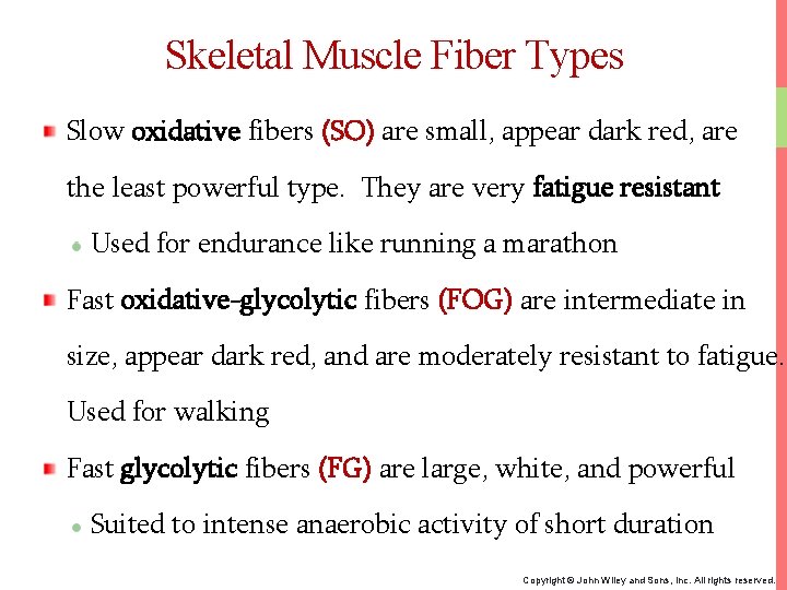 Skeletal Muscle Fiber Types Slow oxidative fibers (SO) are small, appear dark red, are