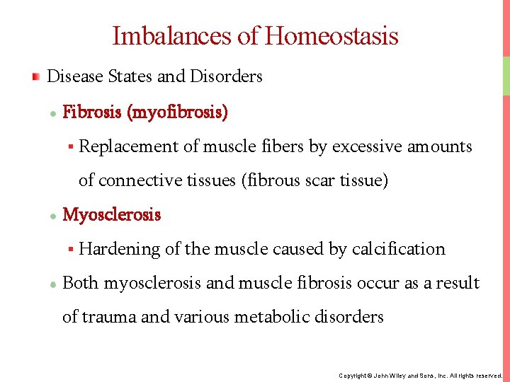 Imbalances of Homeostasis Disease States and Disorders Fibrosis (myofibrosis) § Replacement of muscle fibers