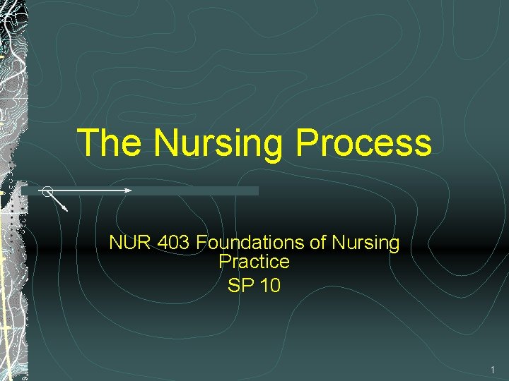 The Nursing Process NUR 403 Foundations of Nursing Practice SP 10 1 