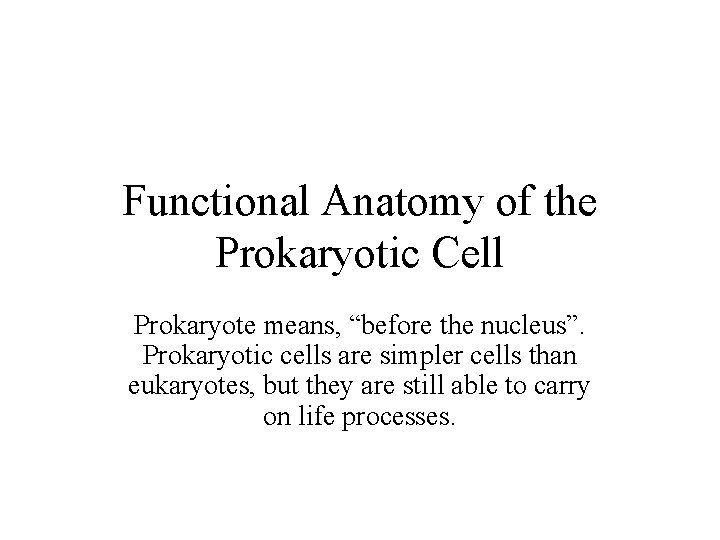 Functional Anatomy of the Prokaryotic Cell Prokaryote means, “before the nucleus”. Prokaryotic cells are