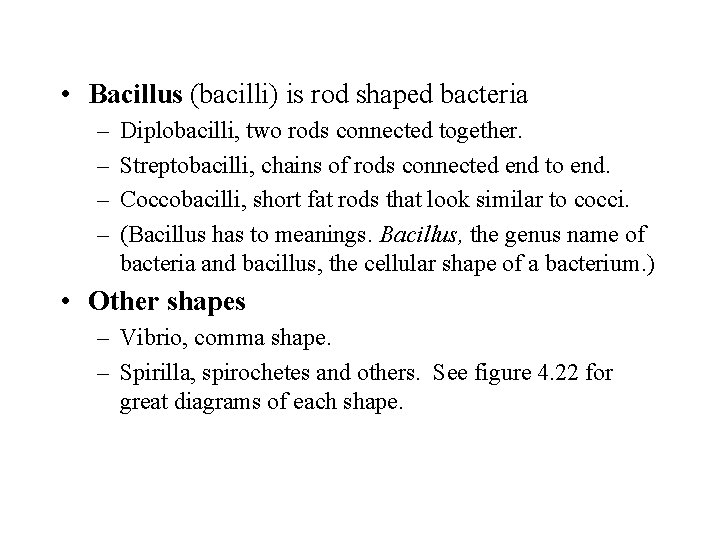  • Bacillus (bacilli) is rod shaped bacteria – – Diplobacilli, two rods connected