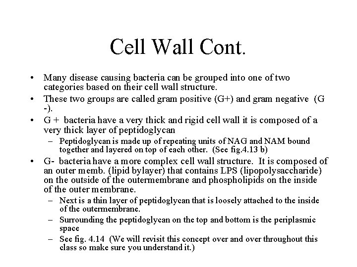 Cell Wall Cont. • Many disease causing bacteria can be grouped into one of