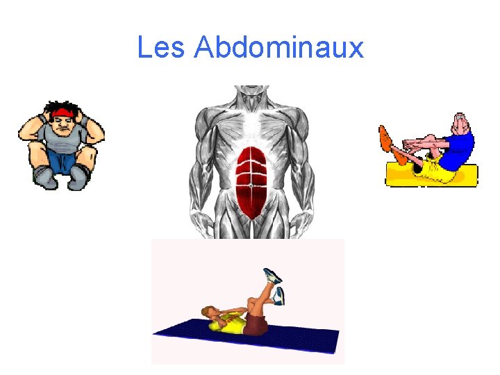 Les Abdominaux 