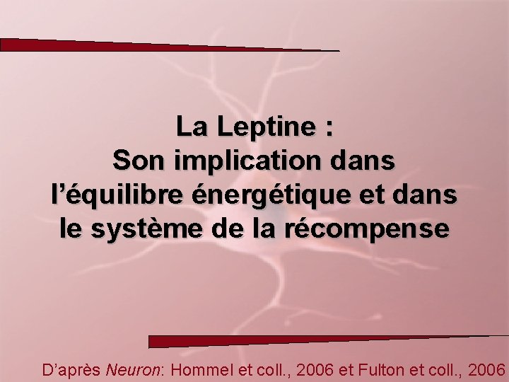 La Leptine : Son implication dans l’équilibre énergétique et dans le système de la