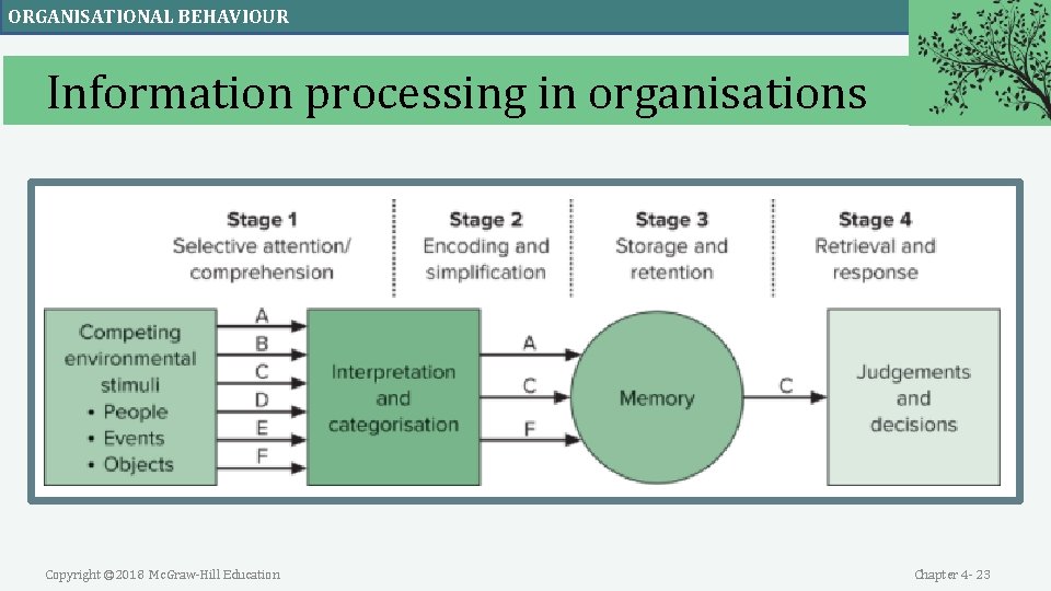 ORGANISATIONAL BEHAVIOUR Information processing in organisations Copyright © 2018 Mc. Graw-Hill Education Chapter 4 ORGANISATIONAL BEHAVIOUR Information processing in organisations Copyright © 2018 Mc. Graw-Hill Education Chapter 4