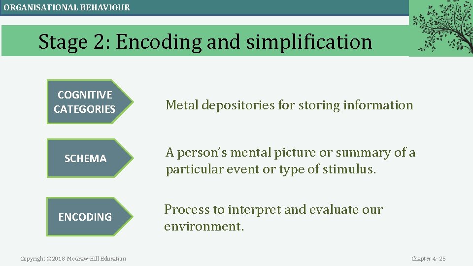 ORGANISATIONAL BEHAVIOUR Stage 2: Encoding and simplification COGNITIVE CATEGORIES Metal depositories for storing information ORGANISATIONAL BEHAVIOUR Stage 2: Encoding and simplification COGNITIVE CATEGORIES Metal depositories for storing information