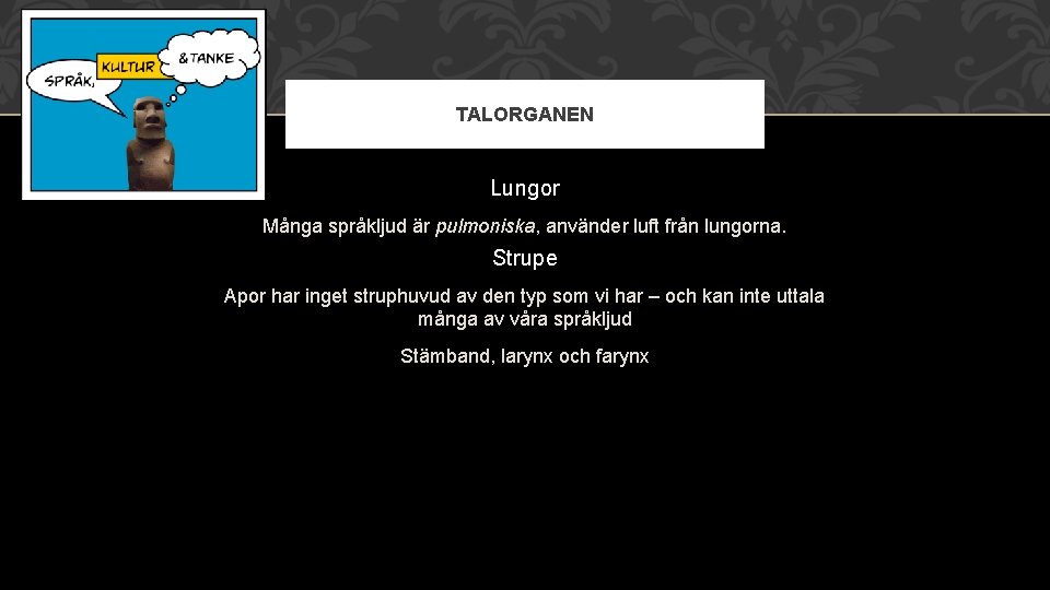 TALORGANEN Lungor Många språkljud är pulmoniska, använder luft från lungorna. Strupe Apor har inget