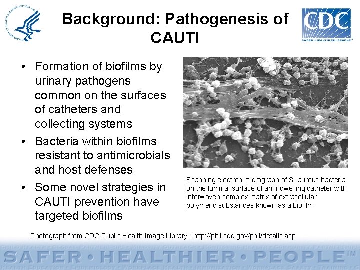 Background: Pathogenesis of CAUTI • Formation of biofilms by urinary pathogens common on the