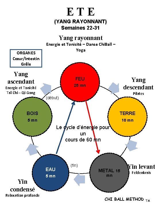 ETE (YANG RAYONNANT) Semaines 22 -31 Yang rayonnant ORGANES Cœur/Intestin Grêle Energie et Tonicité