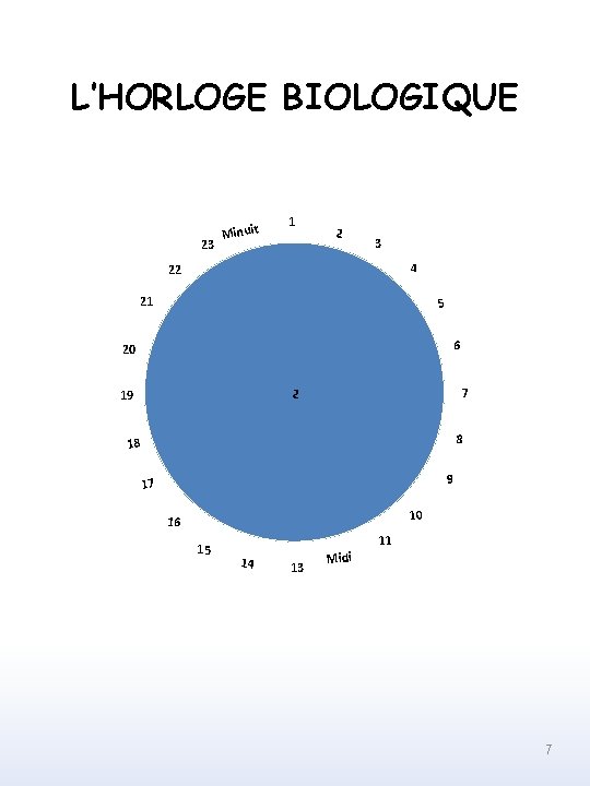 L’HORLOGE BIOLOGIQUE 23 Minuit 1 2 3 4 22 21 5 6 20 2