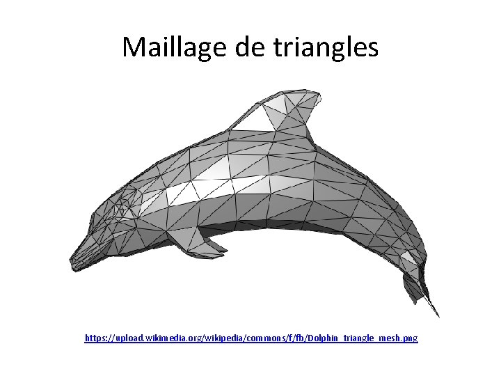 Maillage de triangles https: //upload. wikimedia. org/wikipedia/commons/f/fb/Dolphin_triangle_mesh. png 