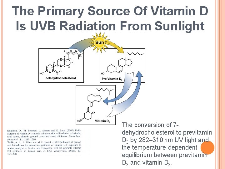 The Primary Source Of Vitamin D Is UVB Radiation From Sunlight The conversion of