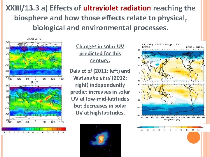 XXIII/13. 3 a) Effects of ultraviolet radiation reaching the biosphere and how those effects