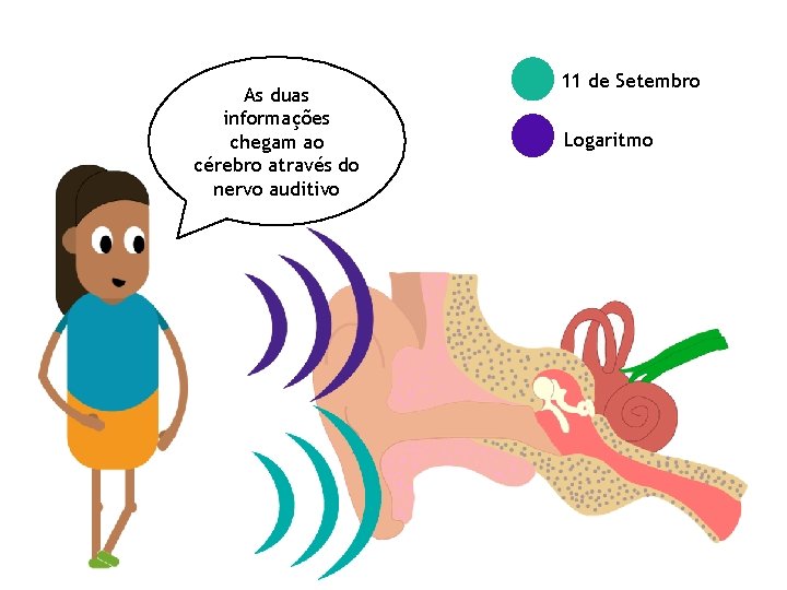 As duas informações chegam ao cérebro através do nervo auditivo 11 de Setembro Logaritmo