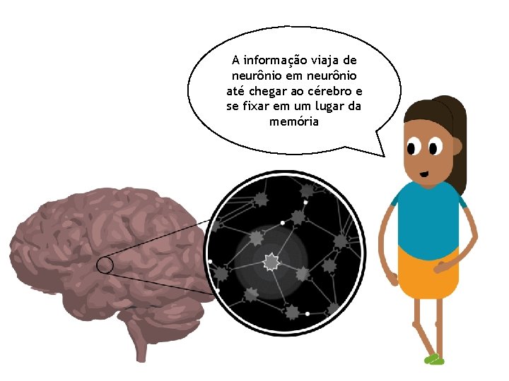 A informação viaja de neurônio em neurônio até chegar ao cérebro e se fixar