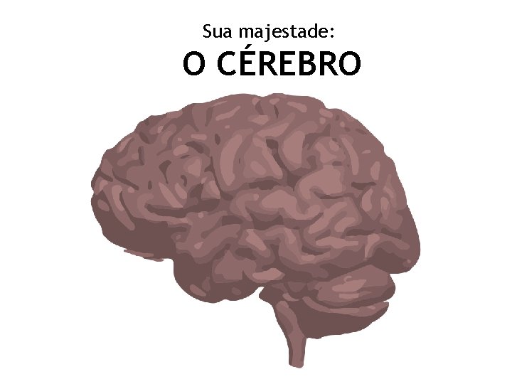 Sua majestade: O CÉREBRO 