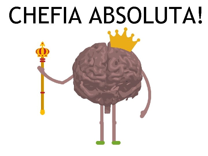 CHEFIA ABSOLUTA! 