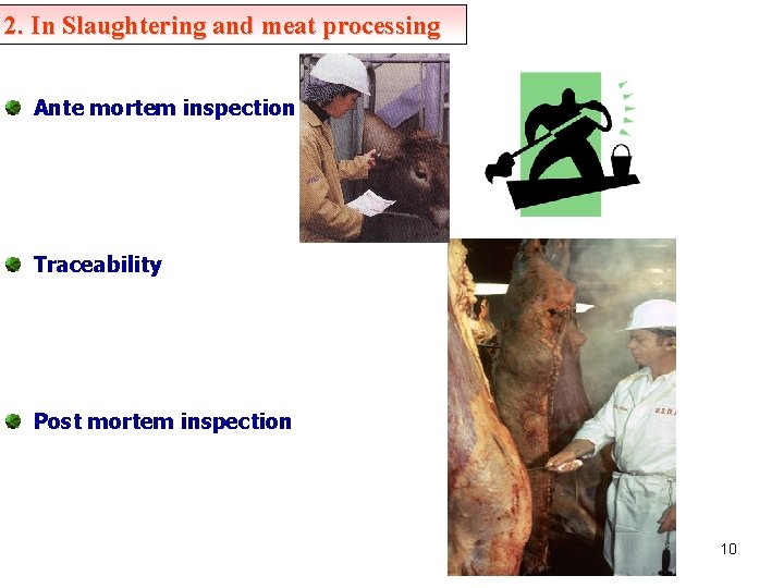 2. In Slaughtering and meat processing Ante mortem inspection Traceability Post mortem inspection 10