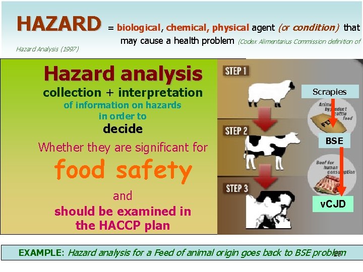 HAZARD = biological, biological chemical, physical agent (or condition) that Hazard Analysis (1997) may