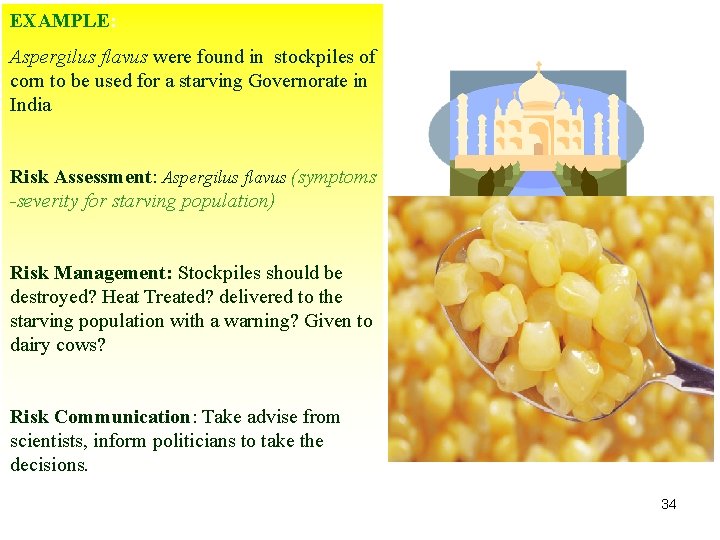 EXAMPLE: Aspergilus flavus were found in stockpiles of corn to be used for a