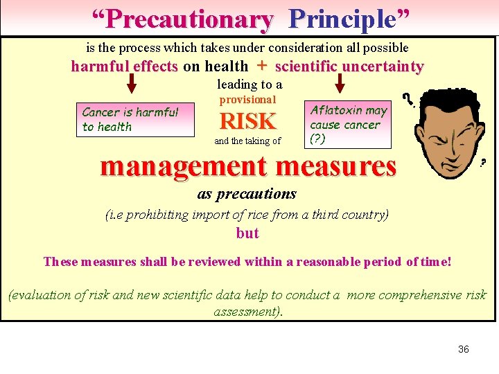 “Precautionary Principle” is the process which takes under consideration all possible harmful effects on