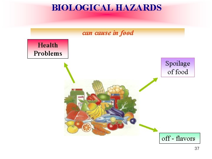 BIOLOGICAL HAZARDS can cause in food Health Problems Spoilage of food off - flavors