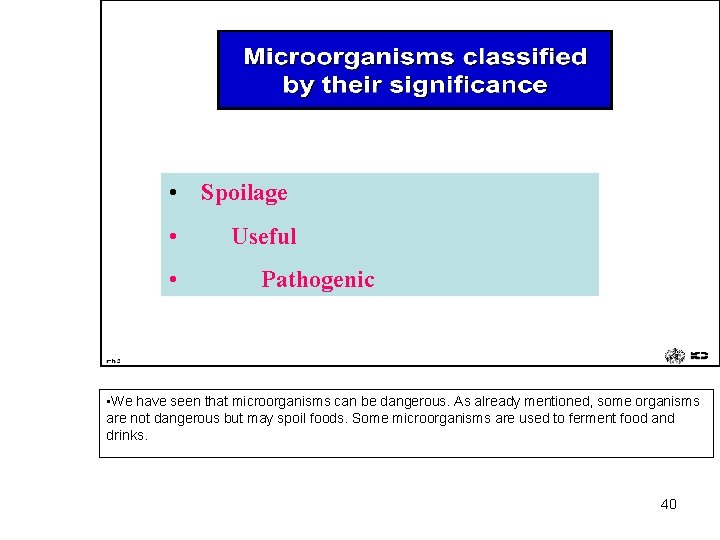  • Spoilage • • Useful Pathogenic • We have seen that microorganisms can