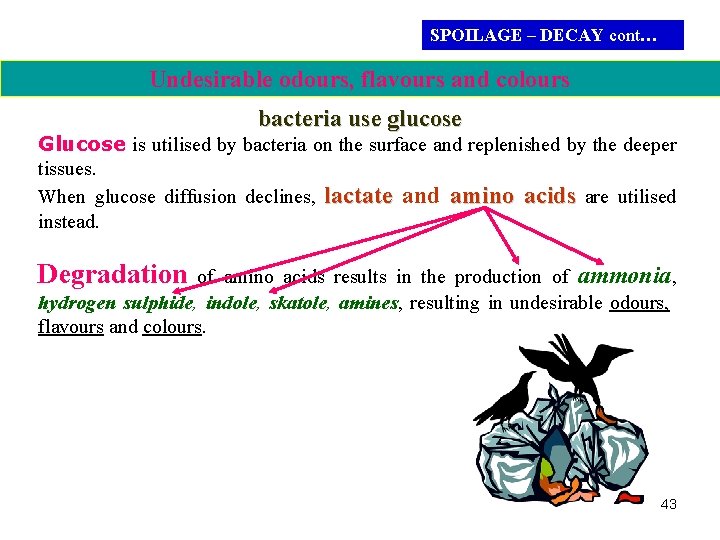 SPOILAGE – DECAY cont… Undesirable odours, flavours and colours bacteria use glucose Glucose is