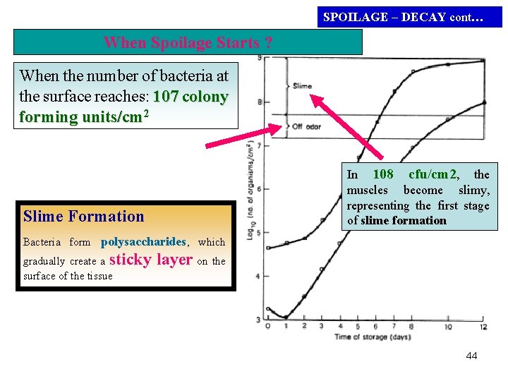 SPOILAGE – DECAY cont… When Spoilage Starts ? When the number of bacteria at