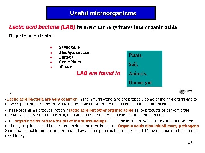 Useful microorganisms Lactic acid bacteria (LAB) ferment carbohydrates into organic acids Organic acids inhibit