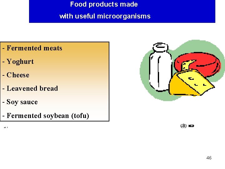 Food products made with useful microorganisms - Fermented meats - Yoghurt - Cheese -