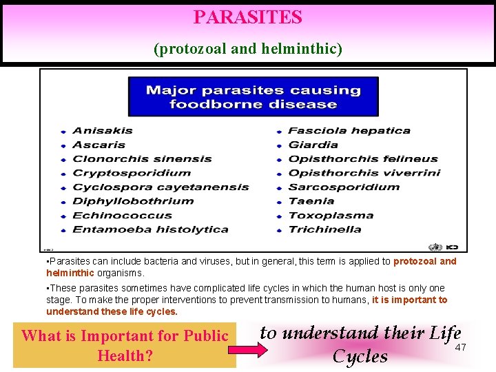 PARASITES (protozoal and helminthic) • Parasites can include bacteria and viruses, but in general,
