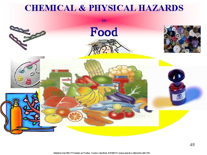 CHEMICAL & PHYSICAL HAZARDS in Food 49 Adaptation from HACCP Principles and Practice, Teacher’s