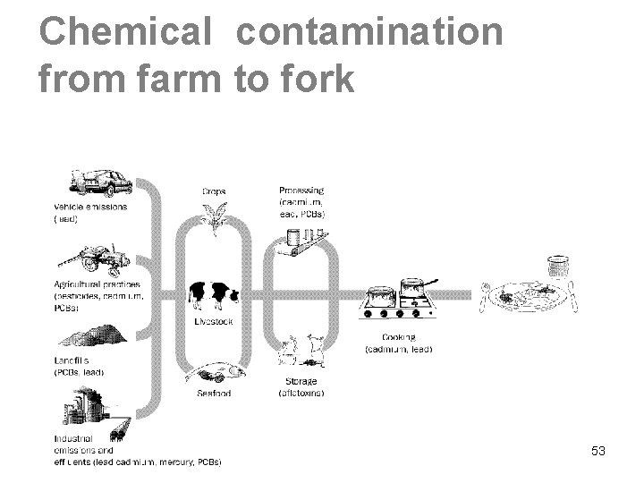 Chemical contamination from farm to fork 53 