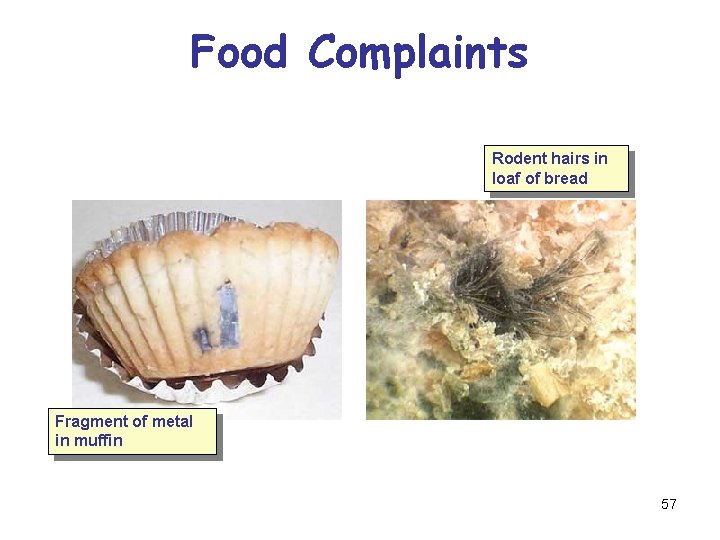 Food Complaints Rodent hairs in loaf of bread Fragment of metal in muffin 57