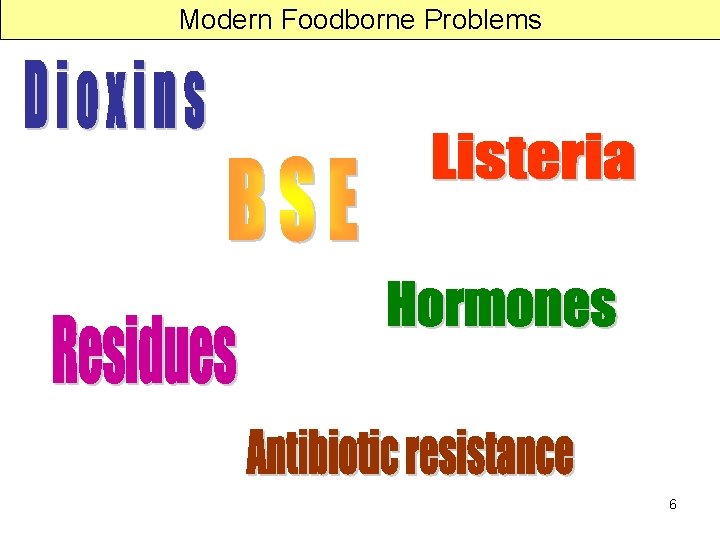 Modern Foodborne Problems 6 